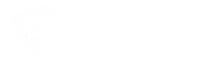Austnes Salmon Lodge
